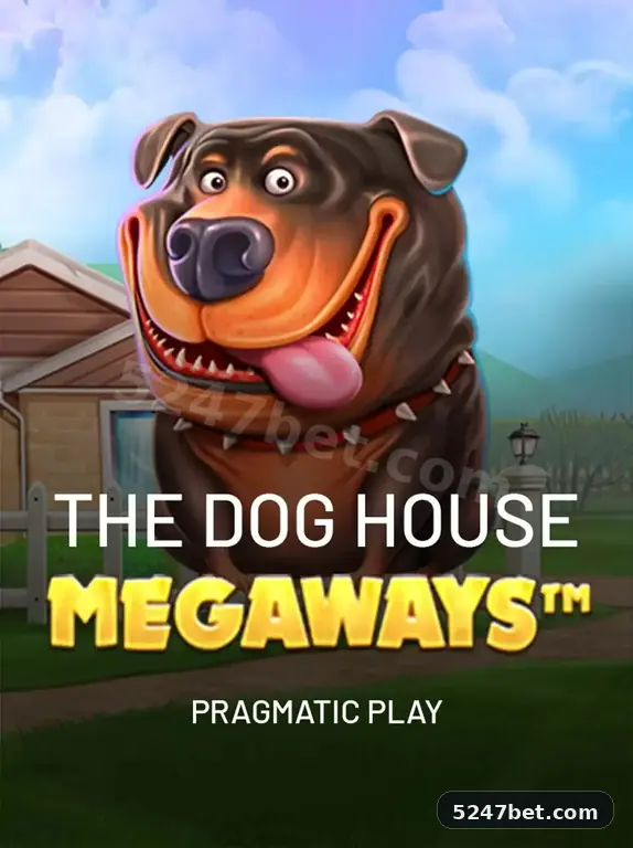 5247